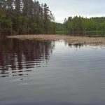 Main – September 2016