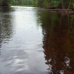 Main – September 2016