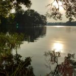 Main – September 2016