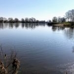 Main – September 2016