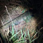 Da ist das Ding … Neubs im siebten Himmel